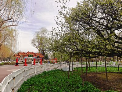 春季城市