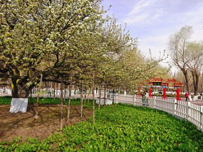 春季城市