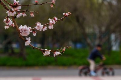 春季城市