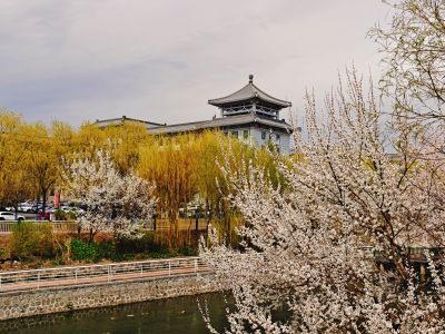 春季城市