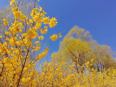 春季城市