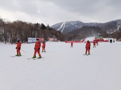 城市