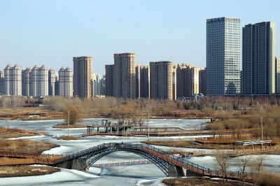 城市