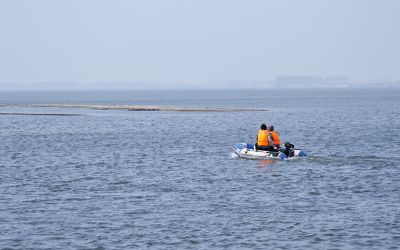 春季城市