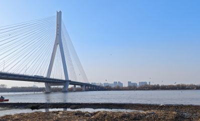春季城市