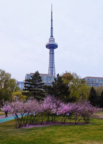 春季城市
