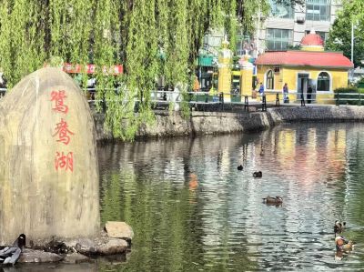 城市