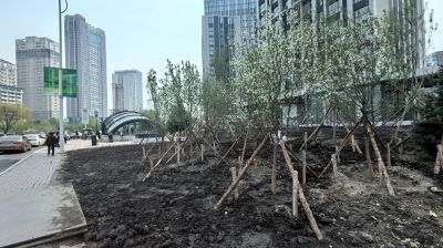城市