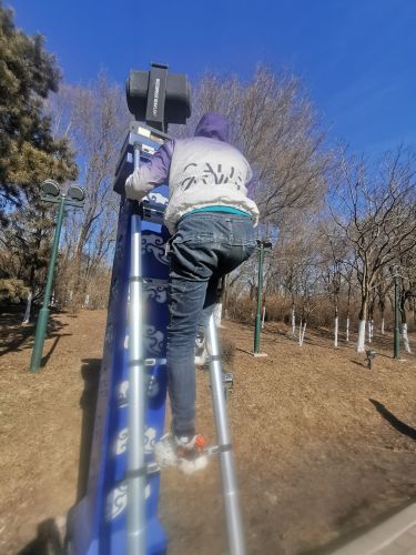 城市
