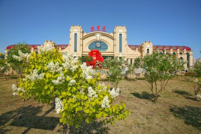 城市