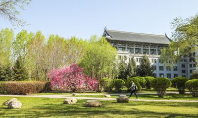 春季城市