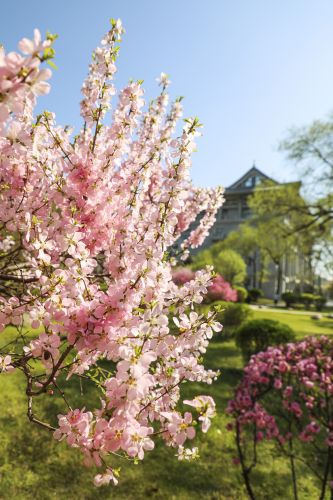 春季城市