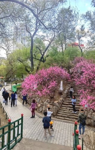 春季城市