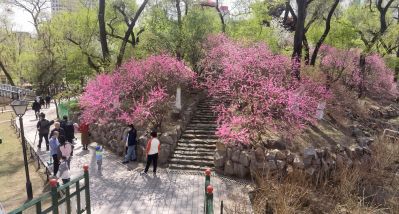 春季城市