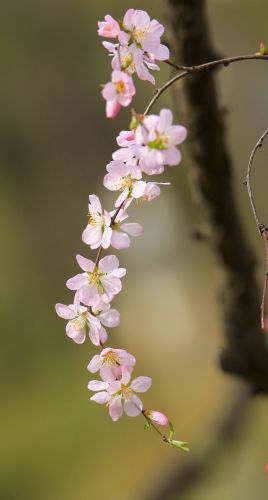 春季城市