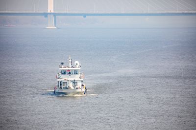 城市