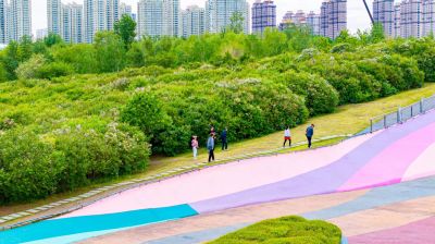 城市