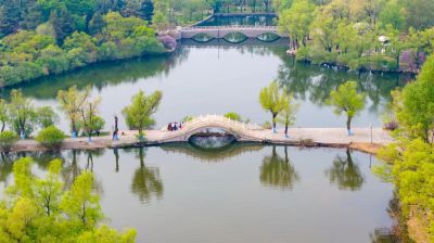 城市