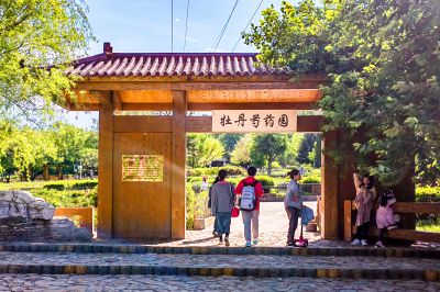 城市