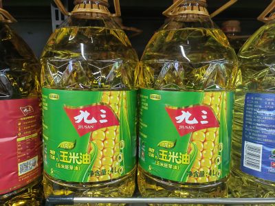 城市