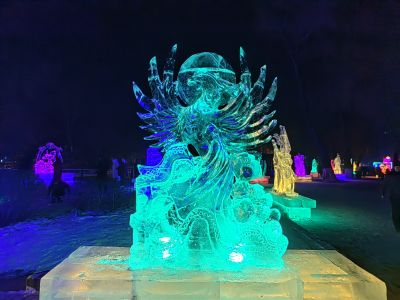 风景