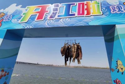 城市