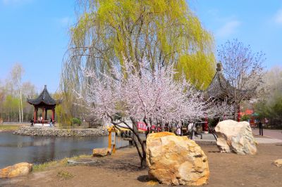 城市