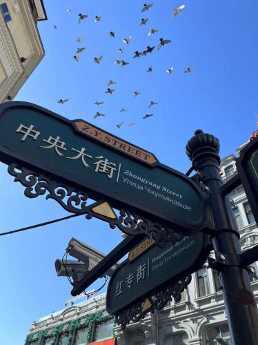 城市