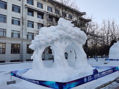 城市