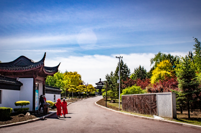 城市