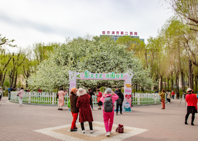 春季城市