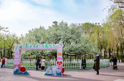 春季城市