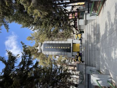 春季城市