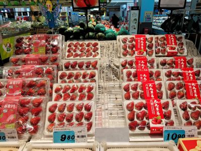 春季城市
