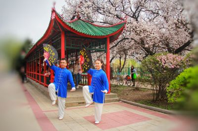 城市