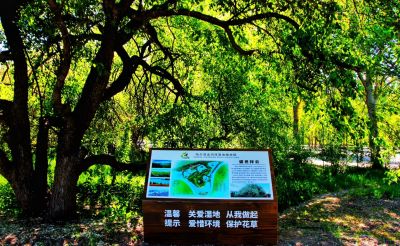 城市
