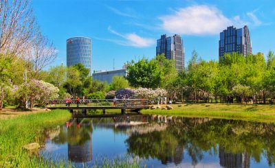 城市