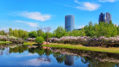城市