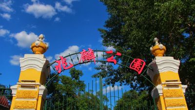 城市