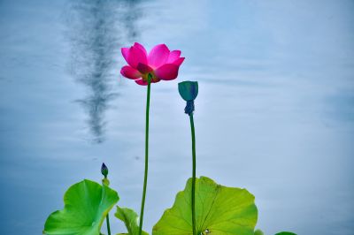 春天