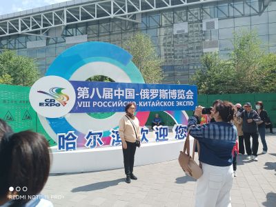 城市