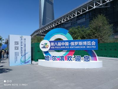 城市