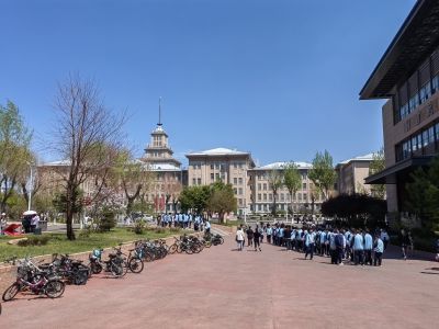 城市