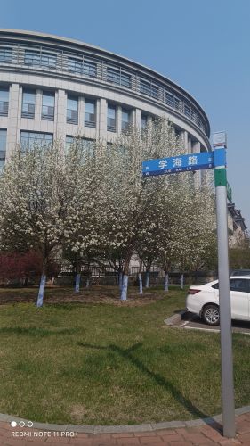 春季城市