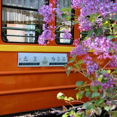 春季城市