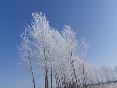 风景