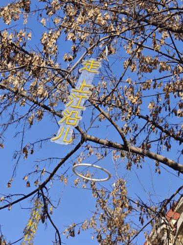 城市