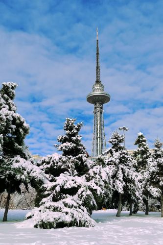 城市