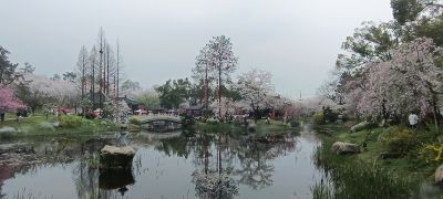湖北武汉