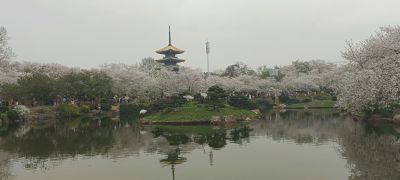 湖北武汉